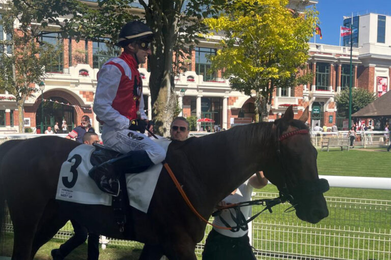 Rosetta Stone am Samstag in Deauville