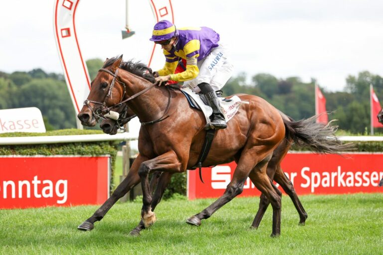 School Of Law siegt beim Deutschlanddebüt