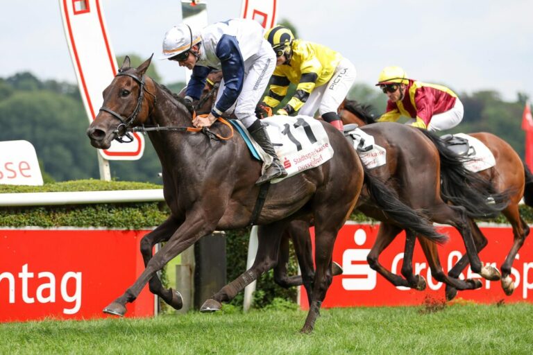 Shoko Lady mit der guten Gernreich-Form