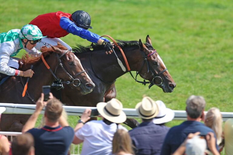 Sorceress (re:) siegt unter Bauyrzhan Murzabayev