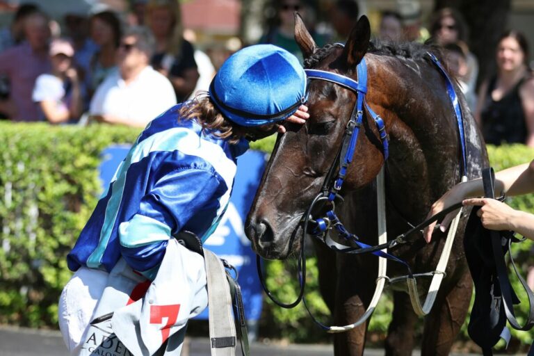 Tabularasa siegt unter Alina Schubert