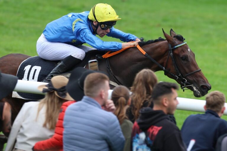 Auktionsrennen: Viel Geld auf Rechnungsfavoritin Tanami Starlet