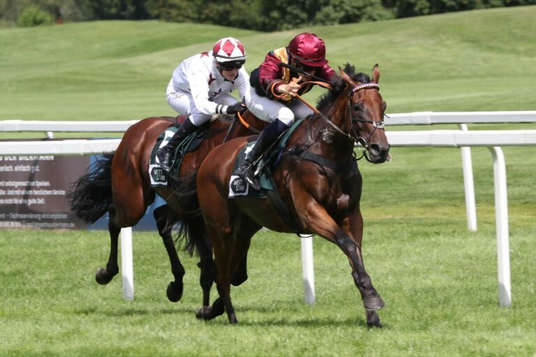 Tarkhan siegt unter Konstantin Phillip