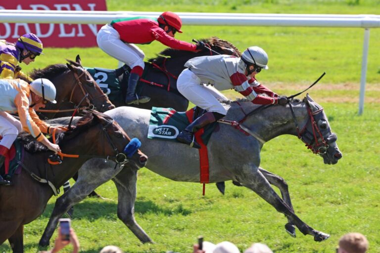 Er macht’s schon wieder – The Grey Zebedee der schnellste über1000 Meter