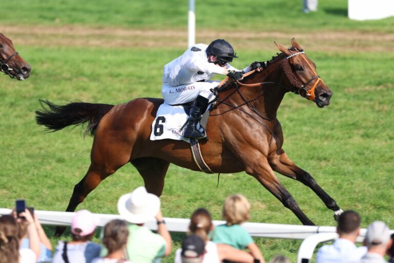 Tiffany nach T. von Zastrow-Sieg nun auch Gruppe II-Siegerin