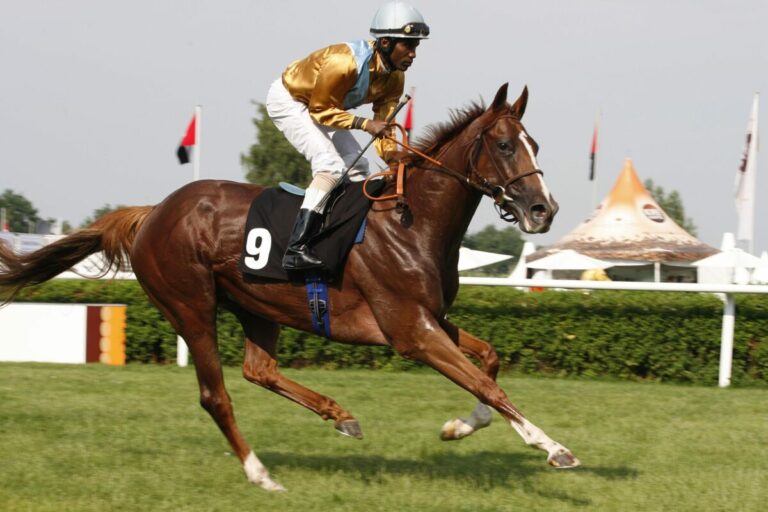 Waldjagd-Tochter und Wurftaube-Enkelin bringt bei Arqana 800.000 Euro