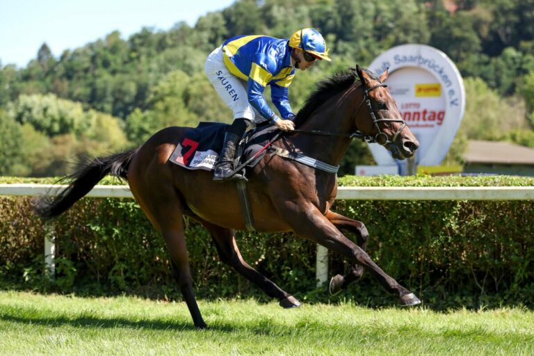 Thore Hammer-Hansen auch in Saarbrücken: Wallem holt Ausgleich II