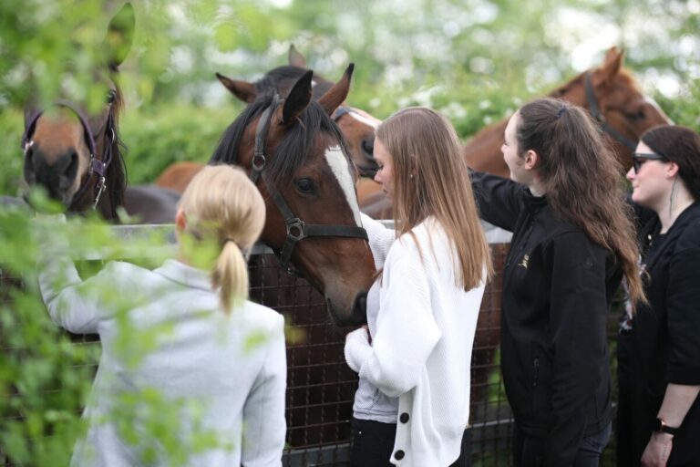 Jetzt für den Tag der Gestüte anmelden