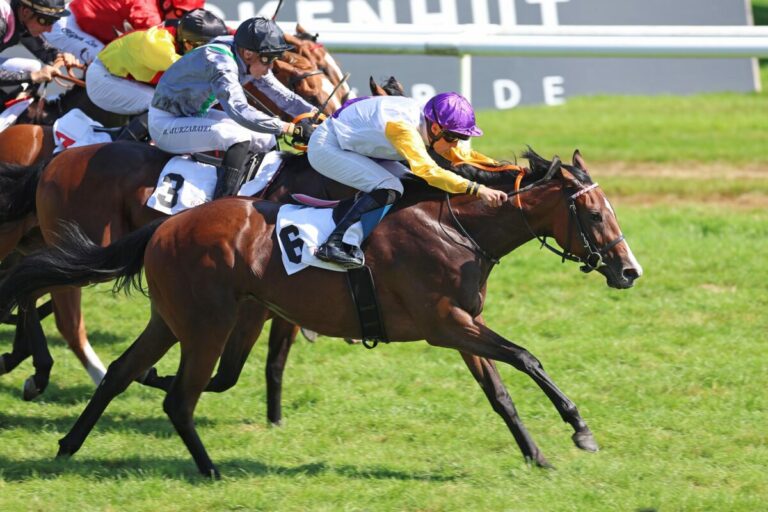 Santagada siegt unter Sibylle Vogt im 151. Renate und Albrecht Woeste - Zukunfts-Rennen