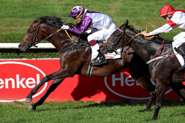 Vierter Saisonsieg – Big Secret wird immer besser