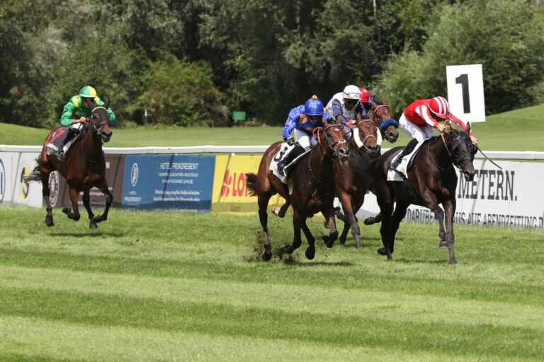 Starke Leistungen der Starter – Aufwertung des Grossen Dallmayr-Preises