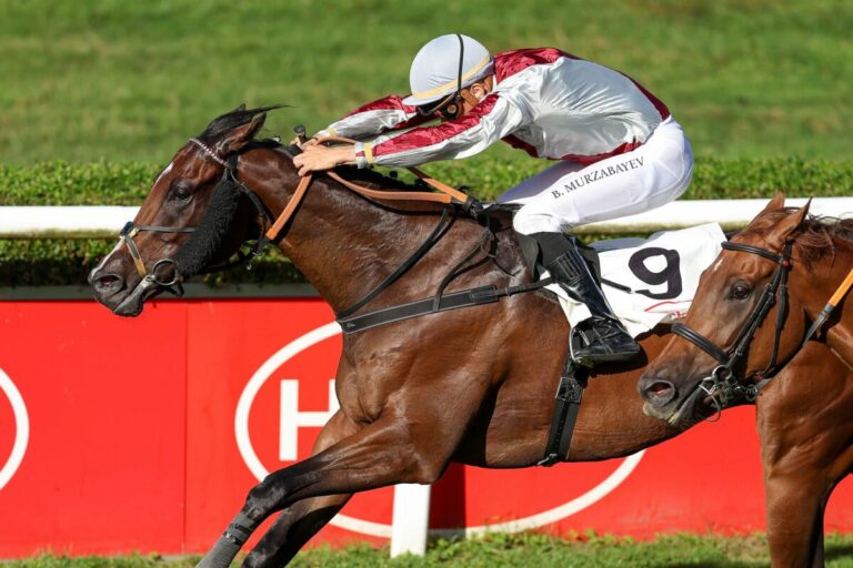 Casall und Murzabayev zum dritten Mal