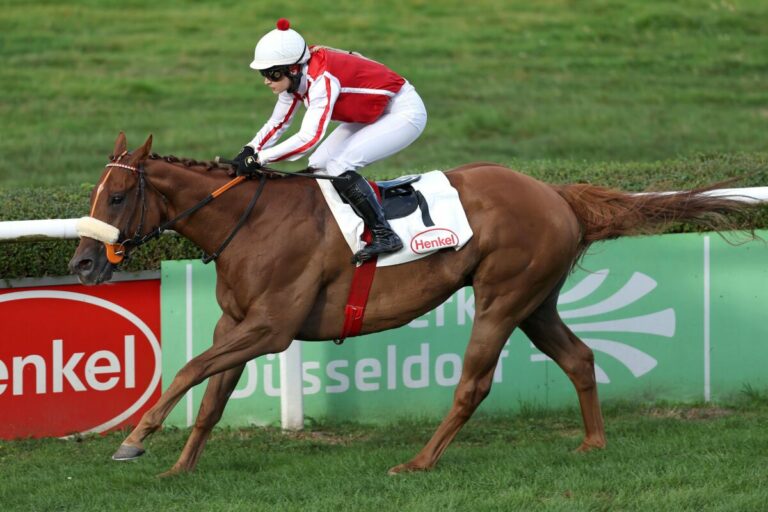 Am Dienstag: Zwei deutsche Pferde im Mons-Highlight