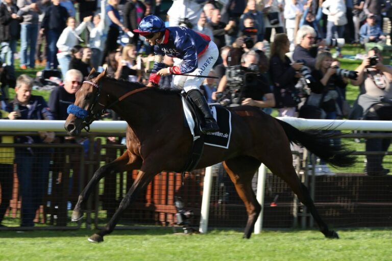 Annulliertes Auktionsrennen in Hannover – Nachholung am 27. Oktober