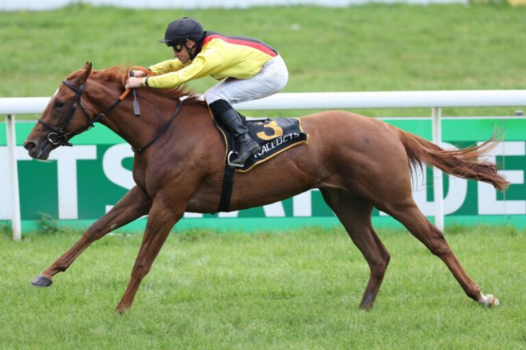 Auenqueller Zweijährige Goldaue an Team Valor und Gary Barber verkauft