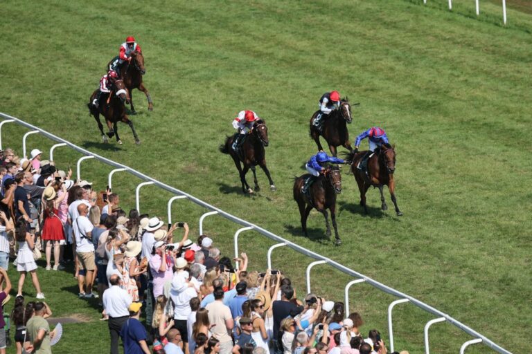 Krass: Trendbarometer sagt „Sechserwette“ im 154. GP von Baden voraus!