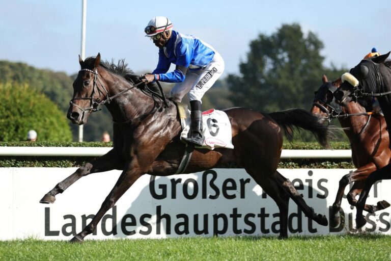 „Krummer“ Holländer sorgt für erste Überraschung in Düsseldorf