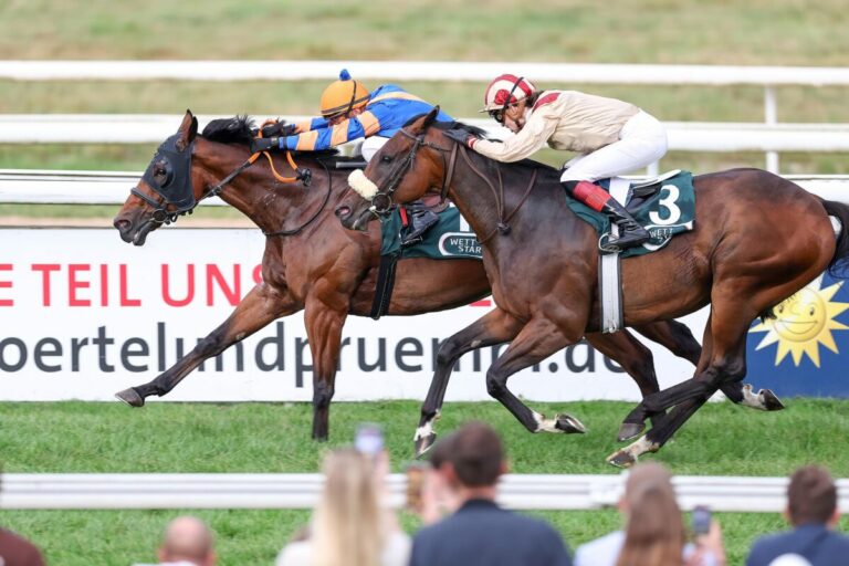 Seidls Dreierpack – Auch Royal Diplomat gewinnt mit Mann des Tages