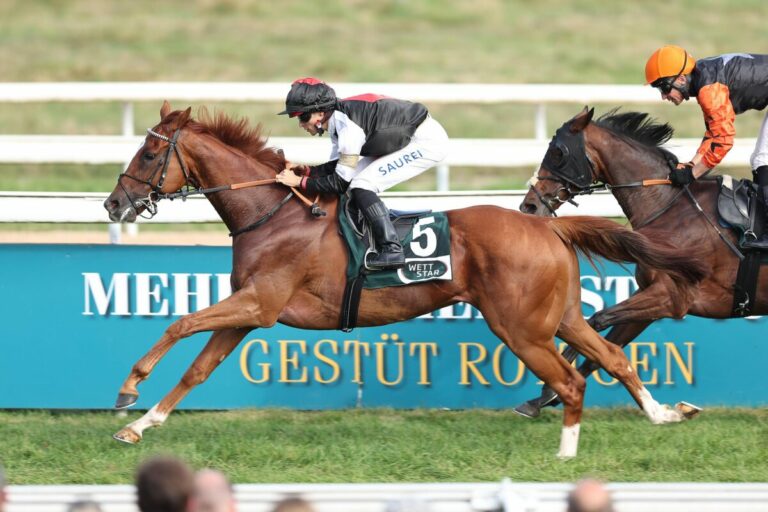 Lisac sorgt für den Premieren-Sieg der Bringo Stables