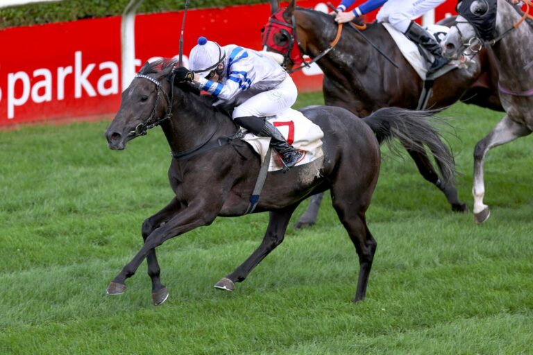 Dreijährige Margherita Luti gewinnt Steher-Ausgleich III