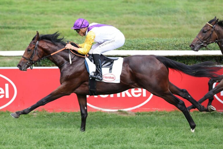 Palladium-Halbbruder Path of Soldier mit erstem Sieg