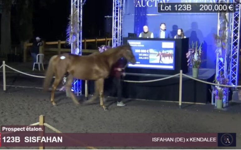 Sisfahan auf Auctav-Auktion für 200.000 Euro zurückgekauft