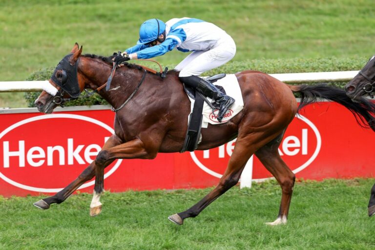 Auktionsrennen-Sieger Tulpar: 52.000 Euro-Verkauf bei BBAG