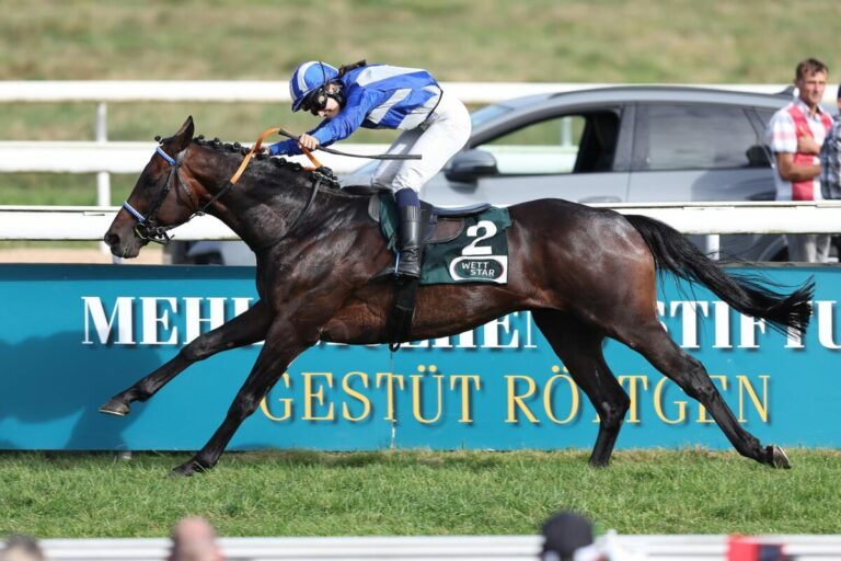 Acht Jahre, zwölf Starts, sechs Siege: Phänomen Vaisseau Fantome