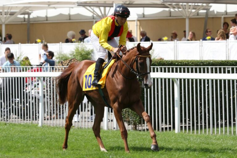 Valley Nichtstarterin im Dortmunder Auktionsrennen am Sonntag