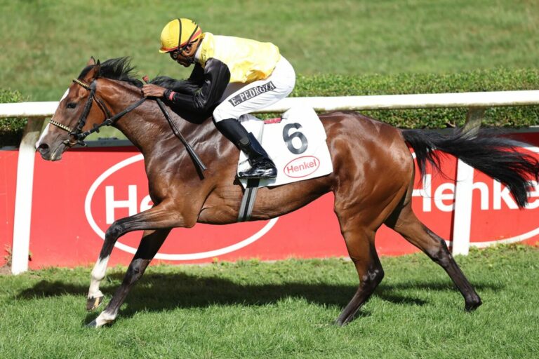 Wacadia aus der Pause leichte Siegerin