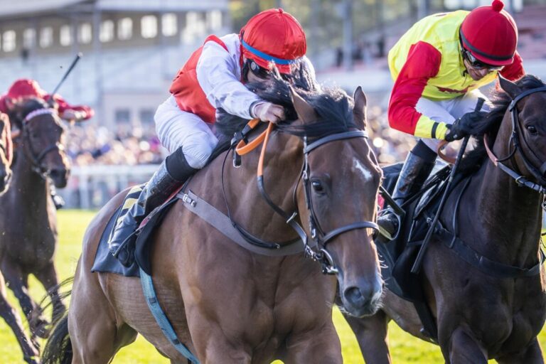 Noch ein Heimsieg: Well Alright siegt „wie er will“