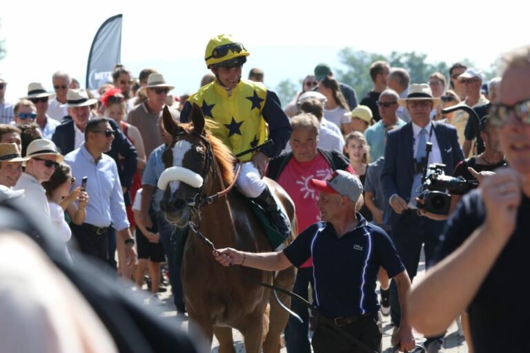 Derbyjahrgang: Alvorada bringt Favoritengeld sicher nach Hause