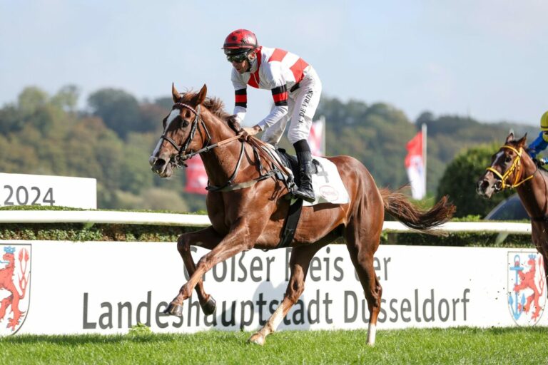 Nächste Überraschung: Lokalmatador Bomaro führt Mega-Dreierwette an