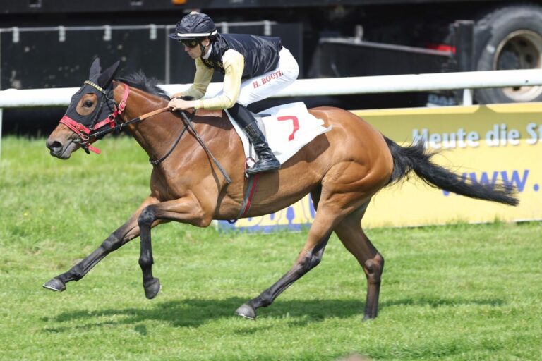 Hamburger Stuten Cup – Gelingt Brümmerhof die Titelverteidigung?