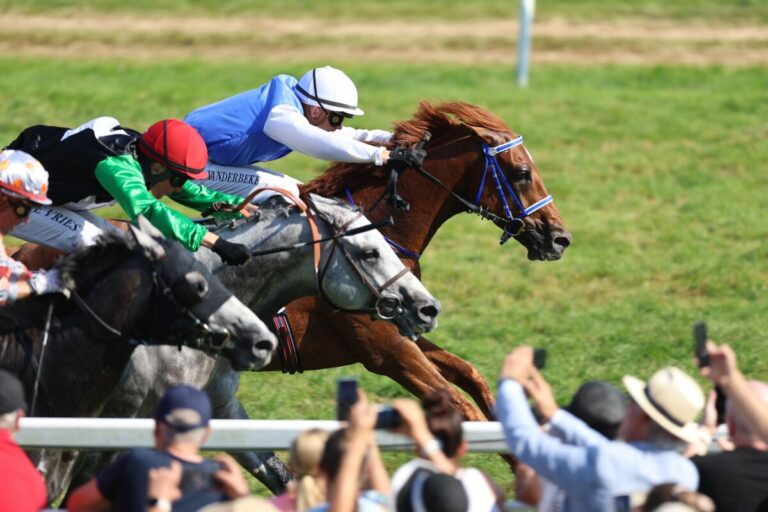 El Paso T kämpft sich im Arab Emirates Cup nach Hause