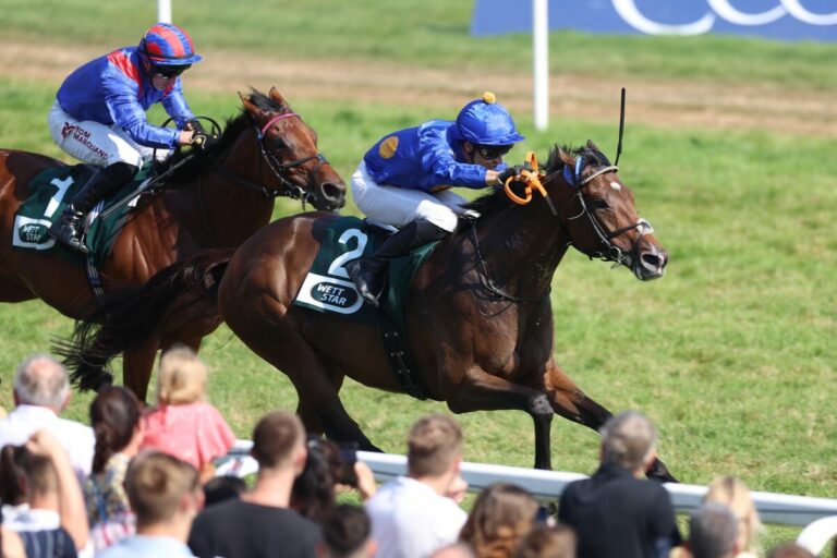 Die Startboxen im Japan Cup: Goliath aus der 1, Fantastic Moon aus der 13