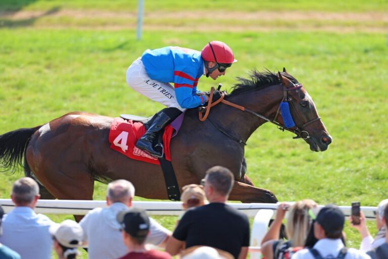 Leon macht den Auftakt in spannenden Grand Prix-Sonntag