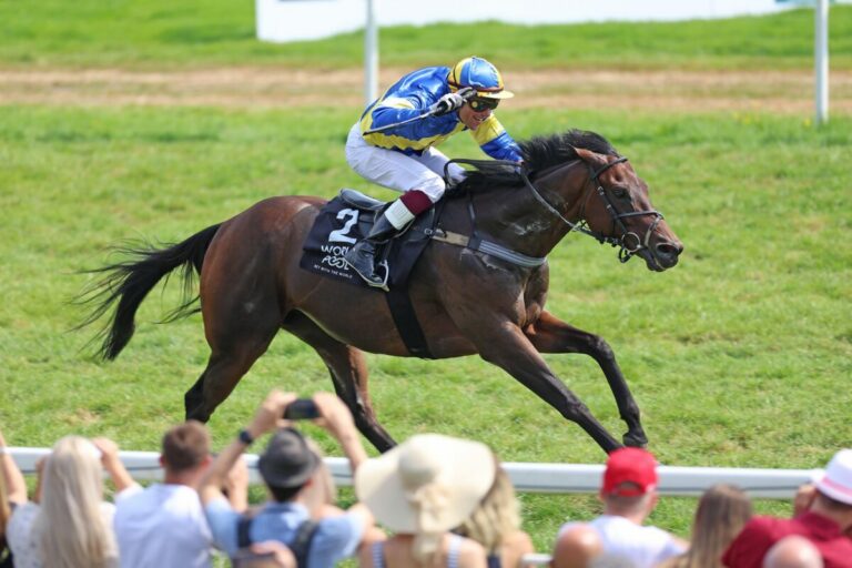 Nach Ehrenplatz Volltreffer – Wallem sorgt für ersten Gries-Punkt in Iffezheim