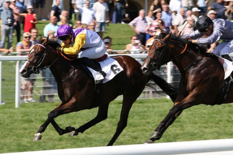 Das ist der erste Tag des Sales & Racing Festivals in Iffezheim