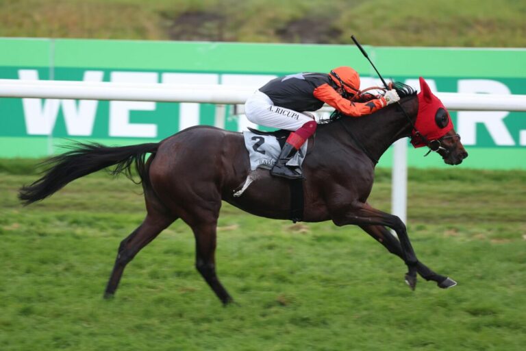 Ohrenkappen draufgelassen – Caravanserai als Siegerin disqualifiziert