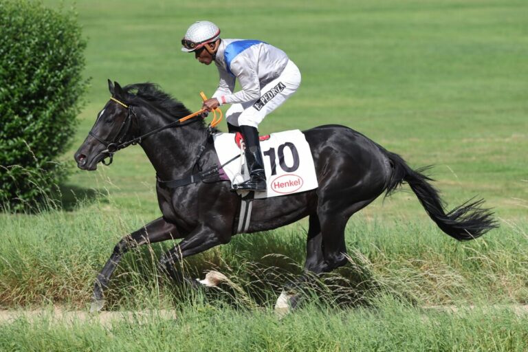 Mitfavorit ist Nichtstarter: Leisten-Memorial ohne Zafirelli