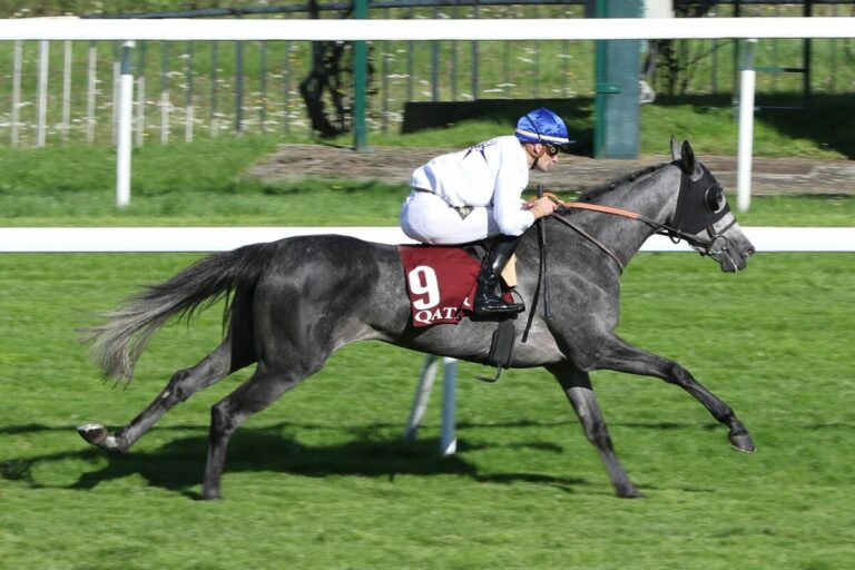 83:1-Gruppe I-Sieg, 10 x Peitsche, Disqualifikation, 30 Tage Sperre