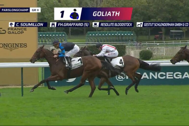 Goliath Foto: Screenshot Equidia