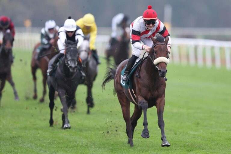 Beim Debüt erfolgreich – Lynario und Abik letztlich sicher voraus