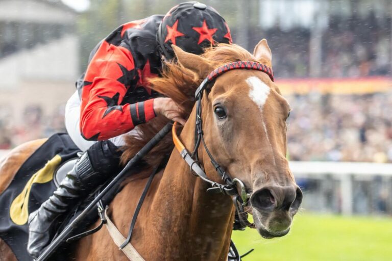 Erster Heimsieg in Berlin: Holy Star stellt Formen Kopf