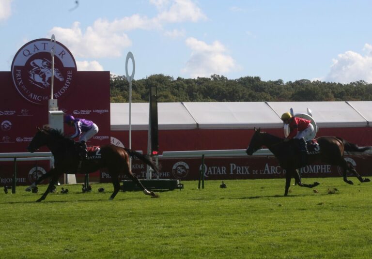 Brümmerhofer Columbus Vierter im Prix Chaudenay