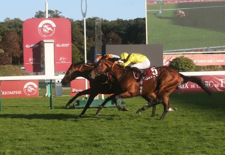 Calif mit Adrie de Vries Vierter im Prix Dollar – Englischer Sieg