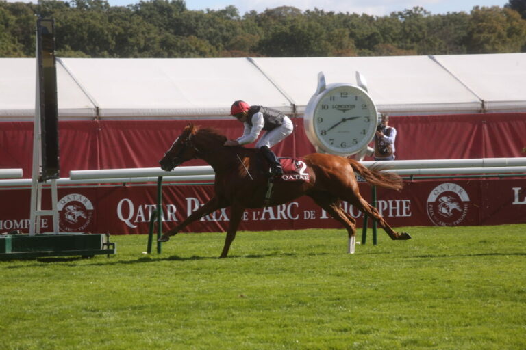 Trueshans Trainer: Kein Sinn, wieder gegen Kyprios anzutreten