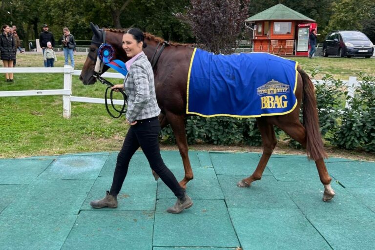 Best Solution-Sohn gewinnt St Leger in Ungarn – BBAG als Sponsor