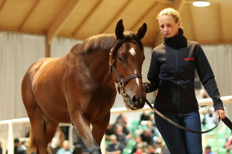 Grafenberg kauft Liah – „Dankbar, dass mein Pferd besten Besitzer bekommt“